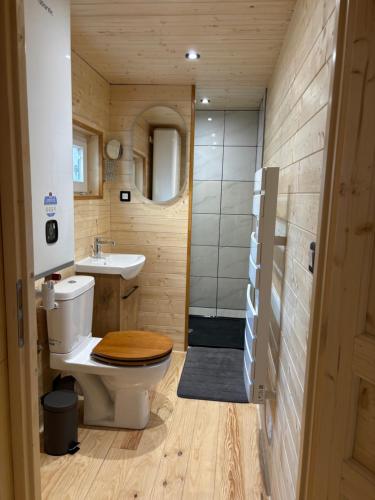 a bathroom with a toilet and a sink at La Petalerie in Épernay