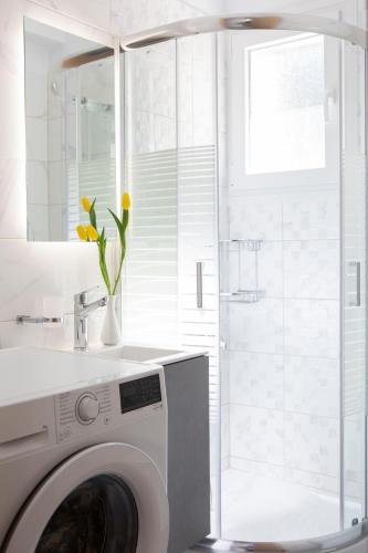 a white washing machine in a bathroom with a mirror at Theros Apartment 1 in Yénion
