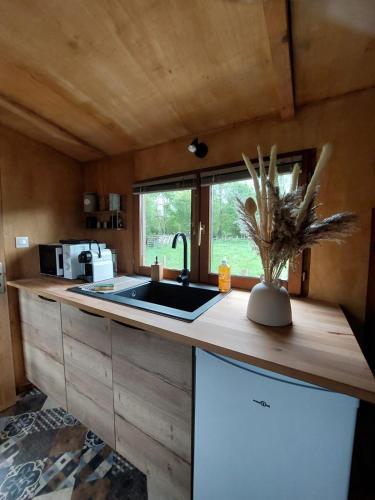 une cuisine avec un évier et un comptoir dans l'établissement La 24h Roulotte, à Parigné-lʼÉvêque