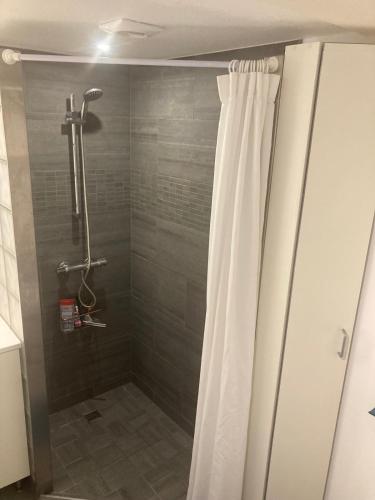 une douche avec un rideau de douche dans une salle de bain dans l'établissement Le Cocon du Hameau rdj cloturé Cap Esterel, à Saint-Raphaël