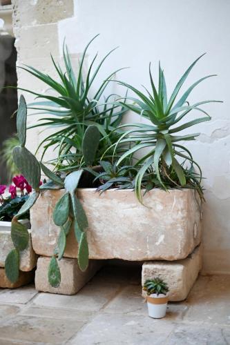 a couple of plants in a pot on a wall at Dimora S.Vito in Lequile
