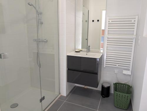 a bathroom with a sink and a glass shower at Appartement lumineux avec balcon & aperçu mer in Pornic