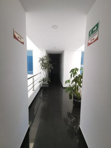 a hallway with potted plants in a building at hotel royal fenix in Yopal