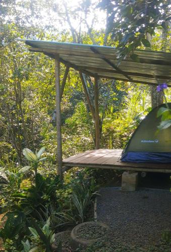 Zahrada ubytování Bosque Colibrí