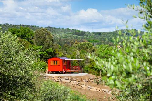 a red train car on the tracks in a forest at Poggio Diavolino - Suvereto in Suvereto