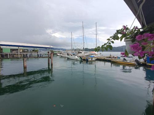 a group of boats docked at a marina at Banana Bay Marina in Golfito