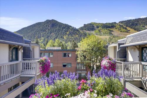 a view of flowers on the balconies of buildings at Lovely Aspen Condo with Mountain Views & Hot Tub in Aspen