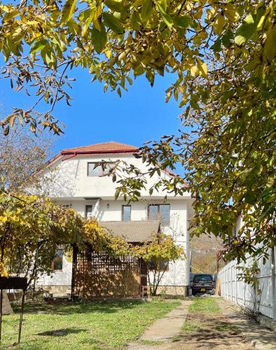 a white house with a fence in front of it at Stefy Home Holiday in Viişoara