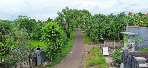 a dirt road with trees on both sides of it at Hotel Arda Bali in Negara