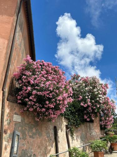 two baskets of flowers on the side of a building at Alla Meria in Castiglione della Pescaia
