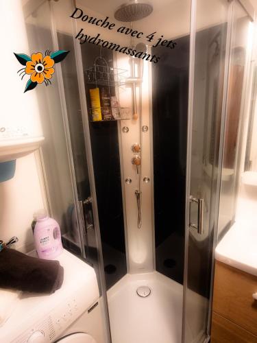 une douche avec une porte vitrée dans une salle de bain dans l'établissement Golden Cottage, à Villeneuve d'Ascq