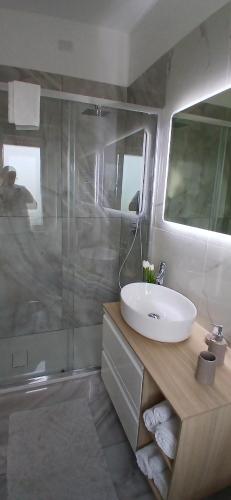 a bathroom with a sink and a shower at Alby suite in Termoli