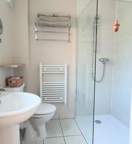a bathroom with a shower and a toilet and a sink at Cosy Hutch in Saxelby