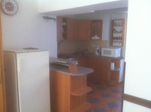 a kitchen with a white refrigerator and a counter at Penzion u Skaláků in Dolní Dunajovice