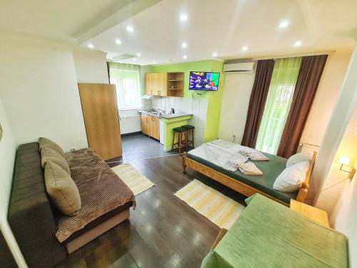 Et tv og/eller underholdning på Vila Aleksandra 1 Sokobanja