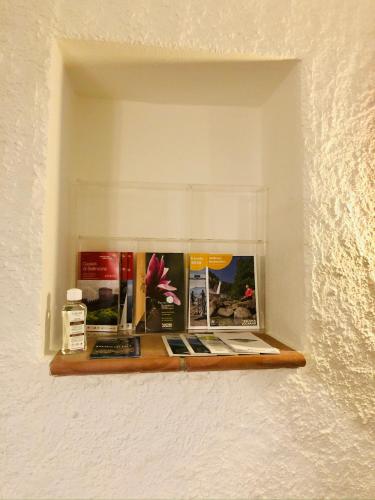 a shelf in a wall with books on it at Rustico Il Nove in Piazzogna