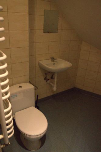 a bathroom with a toilet and a sink at Lawendowa Przystań - Dolina Baryczy in Ujeździec Mały