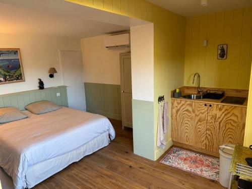 Cet appartement comprend une chambre avec un lit et un évier ainsi qu'une cuisine. dans l'établissement Cabanon Régina, à Lège-Cap-Ferret