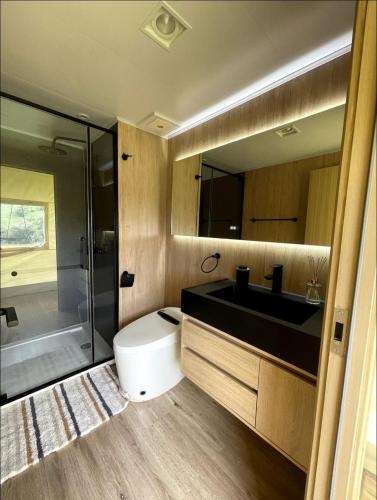 a bathroom with a toilet and a sink and a shower at Safari Tent El Cielo in Santa Ana