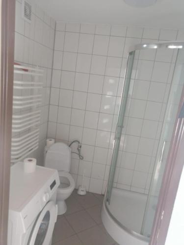 a bathroom with a toilet and a glass shower at Lawendowa Przystań - Dolina Baryczy in Ujeździec Mały