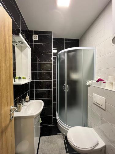 a bathroom with a shower and a toilet and a sink at Dolce apartman Zlatibor in Zlatibor