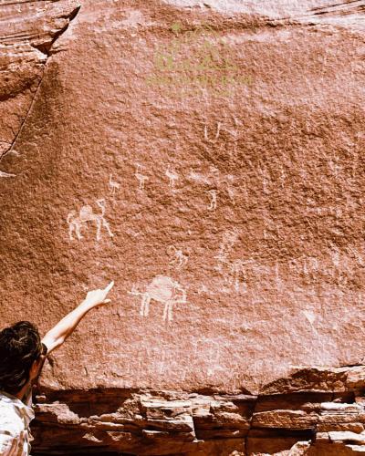 a person pointing at a rock with animals painted on it at Ayla Rum Luxury Camp in Wadi Rum