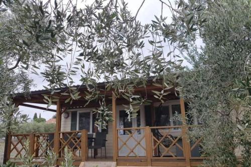 Apartments with parking space Pakostane, Biograd - 23865
