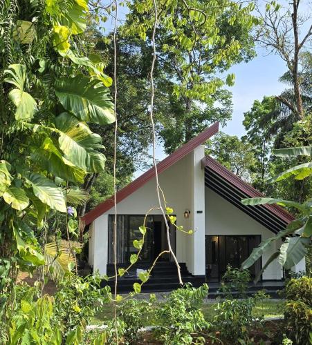 a house in the middle of a forest at Nildiya Cottages in Elpitiya