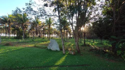 un parc avec des arbres et un gros rocher dans l'herbe dans l'établissement Chalés por do sol, à Pirenópolis