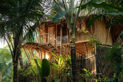 Κήπος έξω από το Maya Eco Retreat Bamboo Hotel