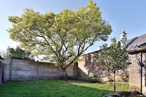 un arbre dans une cour à côté d'une clôture dans l'établissement La Saudrais - Parking - Jardin, à Dinard