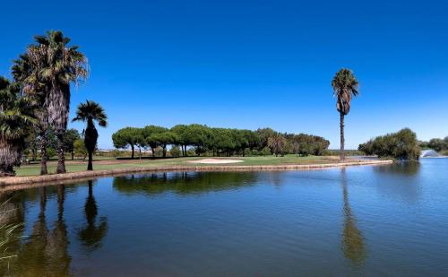 a pond with palm trees and a golf course at Meliá Isla Canela in Isla Canela