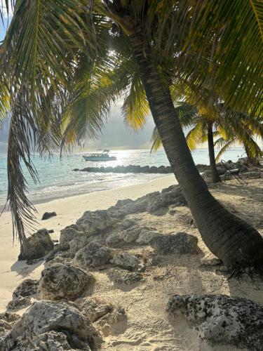 Rose Apartments Barbados