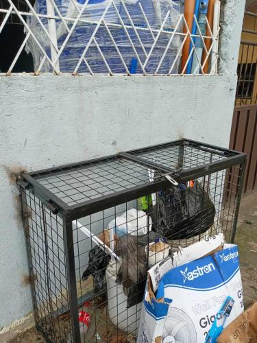 a cage with two animals in it next to a wall at JResidences - 5 Bedrooms Cozy Home in Bacolod