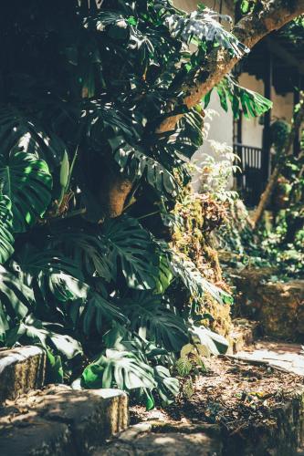 Κήπος έξω από το Hotel Hacienda Baza