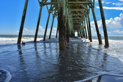 Seas the day llc photo 13