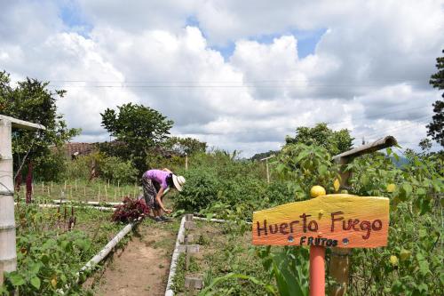 Gallery image of Tierra Activa Alojamiento Eco Rural finca orgánica y agroturística in San Agustín