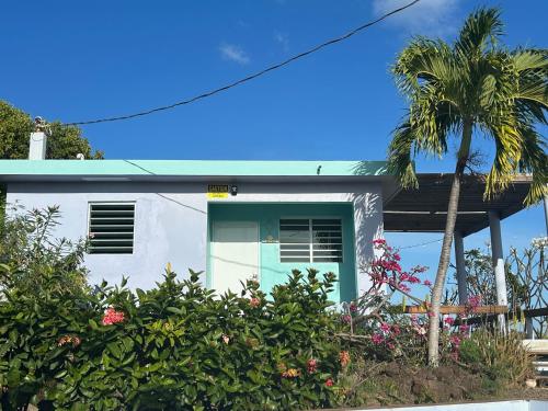 a white house with a green door and a palm tree at Come, Enjoy & Relax DaiquiriVille on Culebra Island Puerto Rico in Culebra