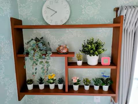 a shelf with potted plants and a clock on the wall at Numazu Sparkle in Numazu