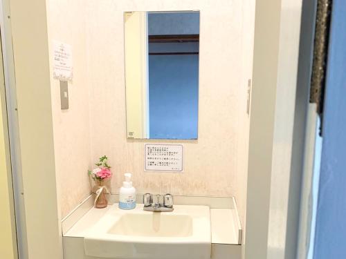 a bathroom sink with a mirror and a window at ホテルロイヤル北見 in Kitami