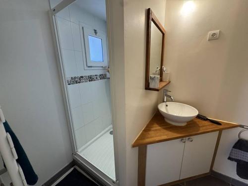 une salle de bain avec un lavabo et une douche dans l'établissement Maison de vacances à 100m de la plage pour 4 pers. - FR-1-726-59, à La Croix-Valmer