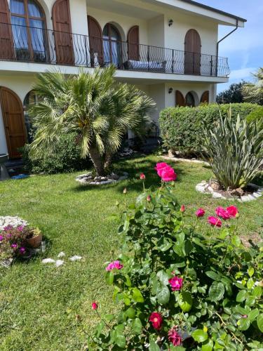 a house with pink flowers in the yard at Les Lauriers, chambre d'hôtes in Siamanna