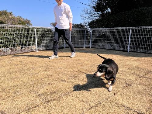 a man walking a dog in a fenced in yard at パーパスリゾート EG Sky terrace 熱川 in Higashiizu