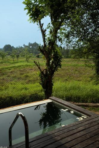 a hot tub with a tree in a field at Kirindi Paddy Isle in Negombo