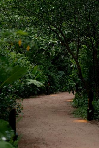 a dirt path through a forest with trees at Kirindi Paddy Isle in Negombo