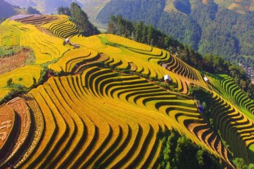 an aerial view of terraced rice fields on a mountain at Hà Giang Hotel Sapa in Sa Pa