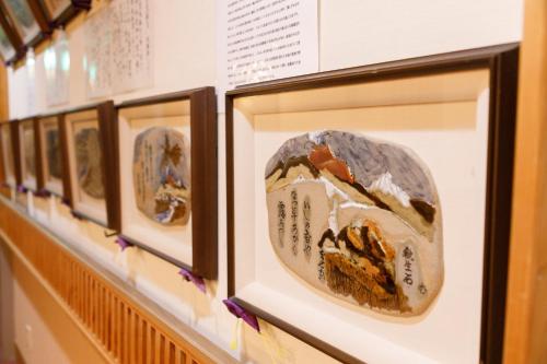 a row of archaeological plates on display in a museum at Jizaiso in Nasu