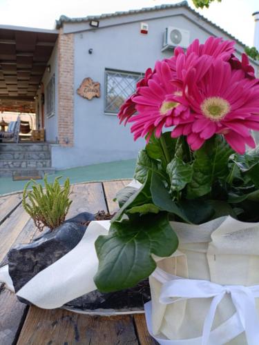 a pink flower in a vase on a wooden table at Elaia Rest House Retreat in nature in Fréngaina
