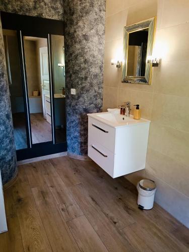 a bathroom with a white sink and a mirror at Le Bargeot à Baar in Nendaz