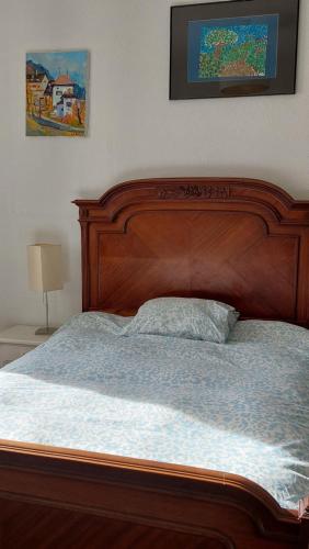 Quiet room in Montreux city center with mountain view photo 2
